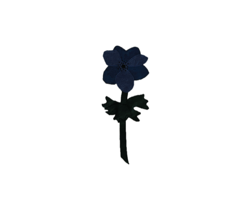 ANEMONE APPLIKATION