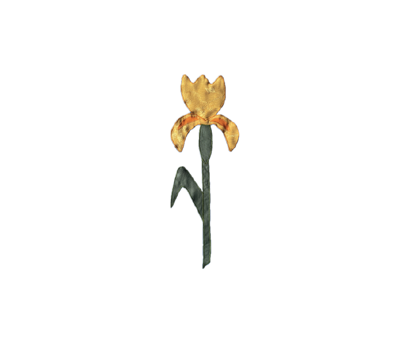 IRIS APPLIKATION