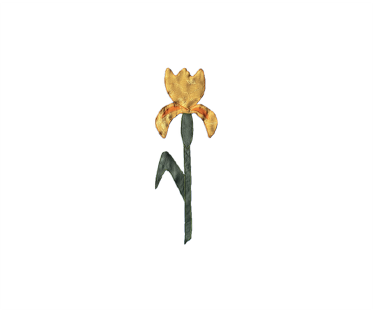 IRIS APPLIKATION